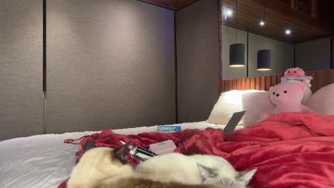 Christina Sage online show from 09.18.25