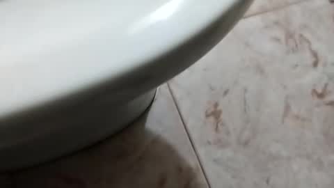 Snapshot of ciccilli chatting on 10.05.25 ciccilli online show from 10.05.25