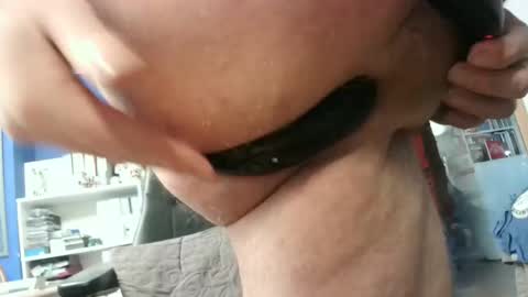 Circus Bear online show from 01.29.25