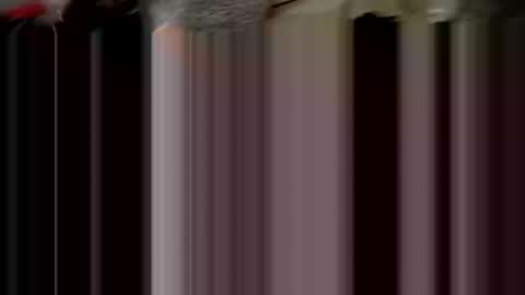 Snapshot of cjafw777 chatting on 10.25.25 cjafw777 online show from 10.25.25