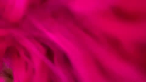 Snapshot of clarkshammer95 chatting on 03.03.25 clarkshammer95 online show from 03.03.25