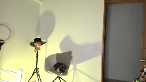 Snapshot of claudiarivera_1 chatting on 10.31.25 Claudia Rivera online show from 10.31.25