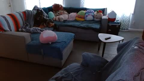 Stone Daily online show from 09.22.25