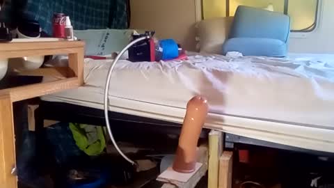 HeyTurkeyBoy online show from 09.19.25