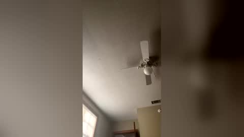 cm653925 online show from 02.03.26