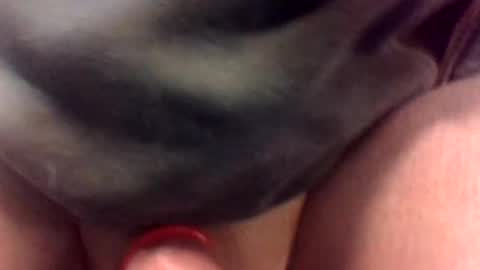 cocksmithog online show from 01.19.25