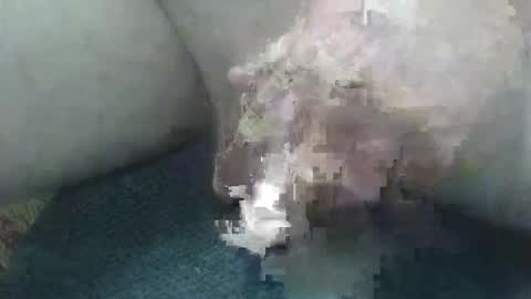 Snapshot of cocktoys chatting on 02.02.26 cocktoys online show from 02.02.26