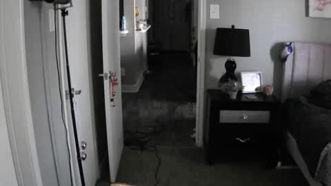 TheGoddessCodie online show from 12.12.24