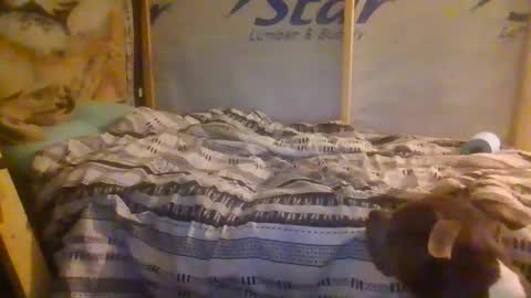 Snapshot of codmaster69 chatting on 02.13.26 lickerpro69 online show from 02.13.26