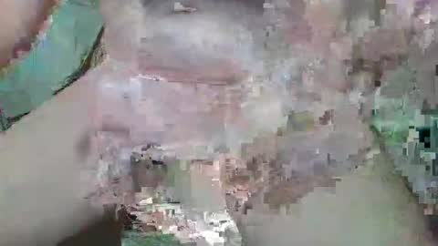 Snapshot of cogela_sin_miedo chatting on 10.20.25 cogela_sin_miedo online show from 10.20.25