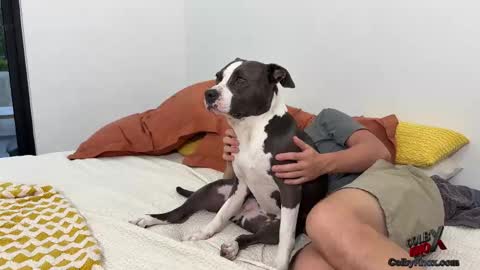 colbyknox online show from 11.04.25