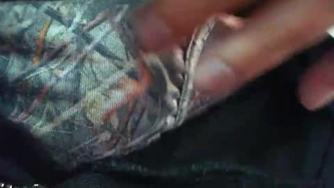 comox online show from 11.04.25