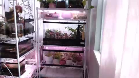 ANR Mommy online show from 11.14.25