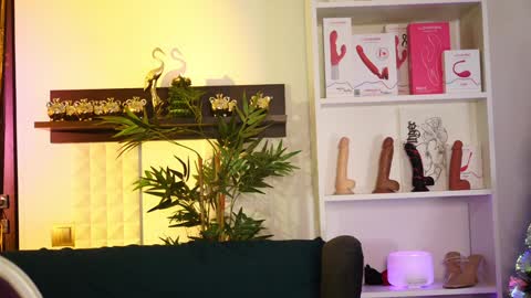 Snapshot of coolteacher chatting on 01.12.25 Ginger The Cringer online show from 01.12.25