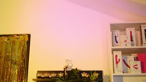 Snapshot of coolteacher chatting on 01.18.25 Ginger The Cringer online show from 01.18.25