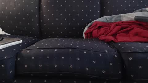 copper_crotch online show from 11.10.25