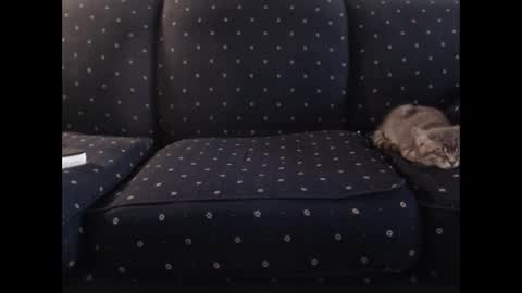 copper_crotch online show from 12.19.25