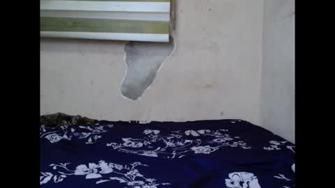 cornxslut online show from 09.15.25