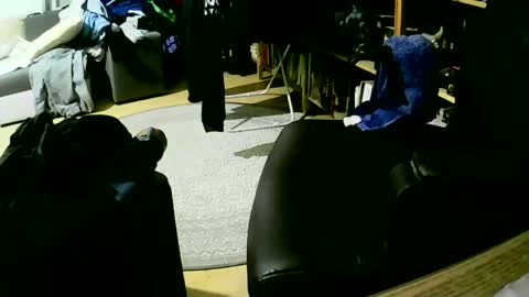 Snapshot of coyote017 chatting on 01.27.25 coyote017 online show from 01.27.25