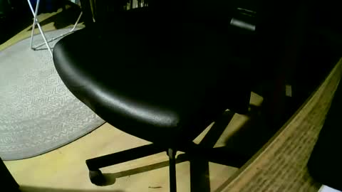 Snapshot of coyote017 chatting on 02.25.25 coyote017 online show from 02.25.25