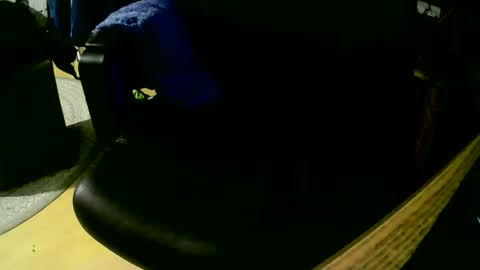 Snapshot of coyote017 chatting on 11.01.25 coyote017 online show from 11.01.25