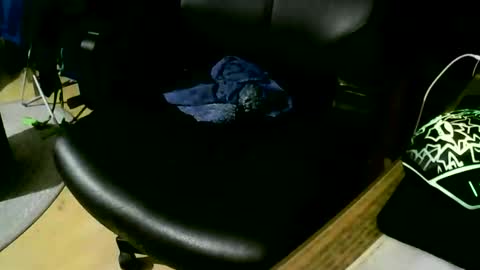 coyote017 online show from 11.17.25