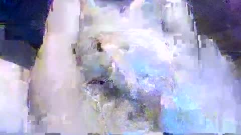 Snapshot of crazydog3690 chatting on 03.12.26 crazydog3690 online show from 03.12.26