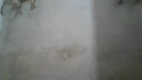 crazzy_booy online show from 06.11.26