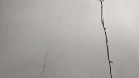 CreamyCocoBabe online show from 04.29.26