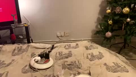 Snapshot of creamycouple1 chatting on 12.27.24 Creamycouple1 online show from 12.27.24