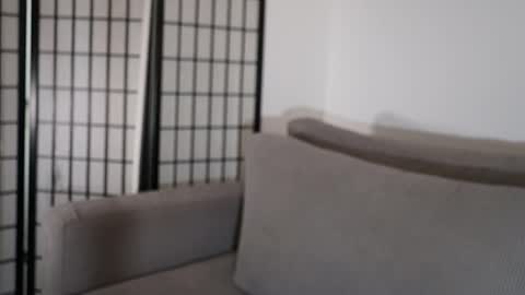 Snapshot of cristalhill chatting on 01.17.26 Laura online show from 01.17.26