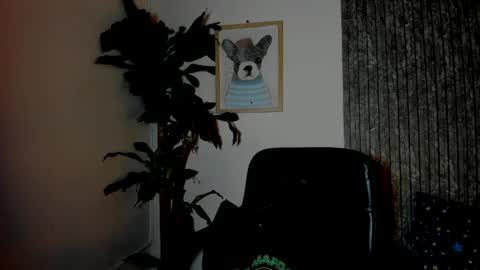 Snapshot of cristobal12cock chatting on 03.29.26 Cristian online show from 03.29.26