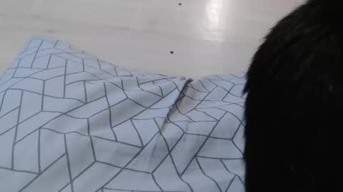 Snapshot of cristynaa36 chatting on 11.05.25 cristynaa36 online show from 11.05.25