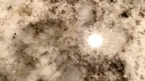 Snapshot of crushit chatting on 02.06.25 Crushit online show from 02.06.25