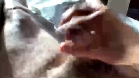 Snapshot of crushit chatting on 01.10.26 Crushit online show from 01.10.26