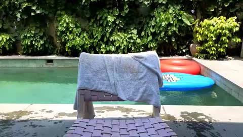 Lin inst lingoodyy online show from 02.25.25