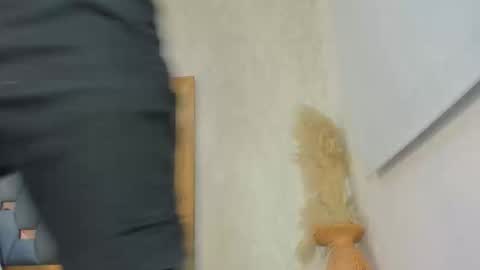 crystal_sm online show from 02.27.26