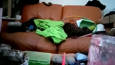 crystelweed online show from 11.09.25