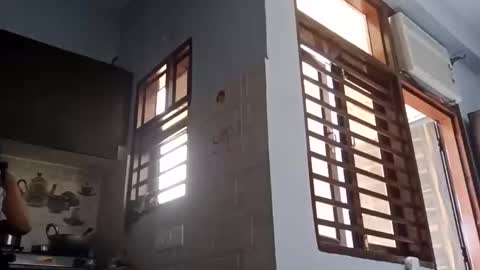 cuddlemuffins online show from 03.01.26