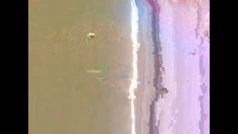 cummachine2022 online show from 11.11.25