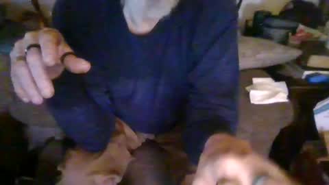 cunnibob online show from 03.02.25