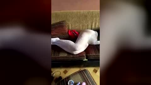 Erics couple online show from 08.01.26