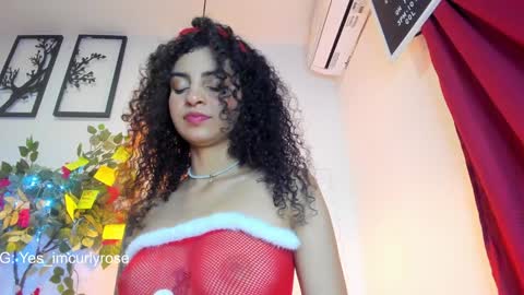 Snapshot of curlyrose_ chatting on 12.24.24 Rose online show from 12.24.24