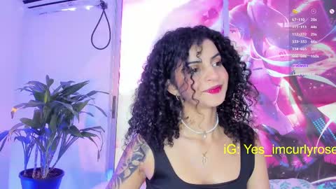 Snapshot of curlyrose_ chatting on 02.26.25 Rose online show from 02.26.25