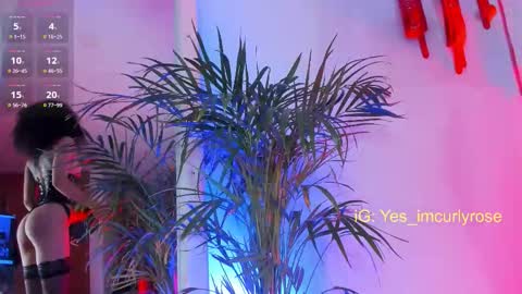 Snapshot of curlyrose_ chatting on 11.22.25 Rose online show from 11.22.25