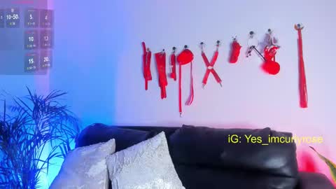 Snapshot of curlyrose_ chatting on 11.24.25 Rose online show from 11.24.25