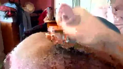 Snapshot of currocll chatting on 10.06.25 currocll online show from 10.06.25