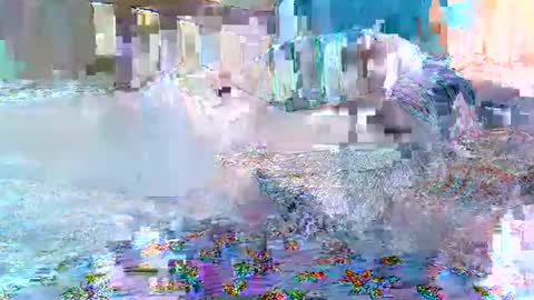 cute_savanna online show from 02.11.26