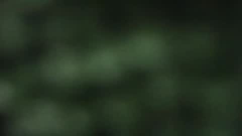 cuteeboy online show from 10.18.25