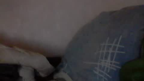 cutekattie online show from 01.09.25